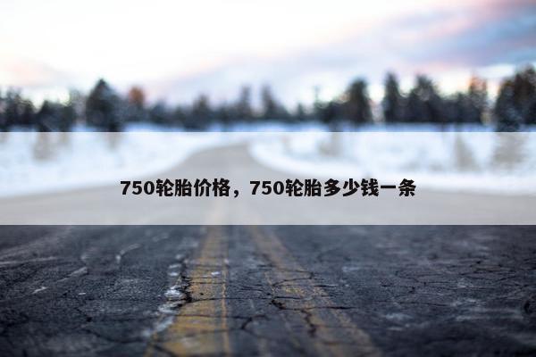 750轮胎价格，750轮胎多少钱一条