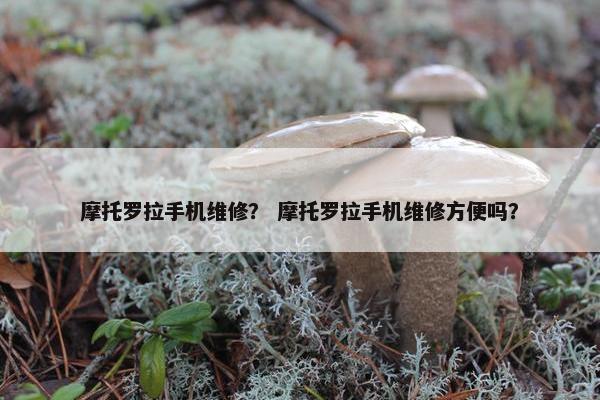 摩托罗拉手机维修？ 摩托罗拉手机维修方便吗？