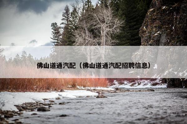 佛山道通汽配（佛山道通汽配招聘信息）