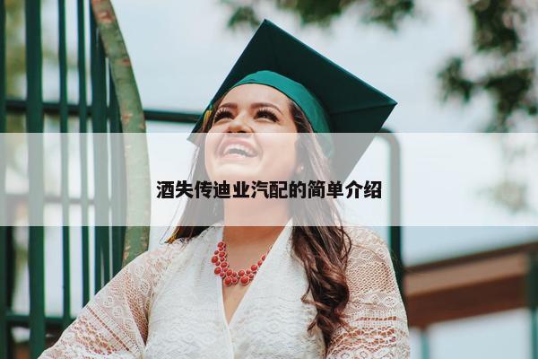 酒失传迪业汽配的简单介绍