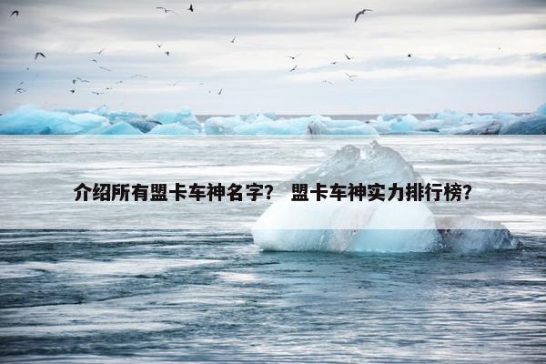 介绍所有盟卡车神名字？ 盟卡车神实力排行榜？