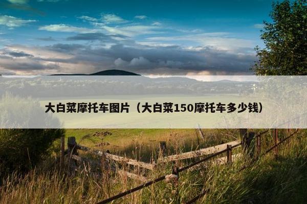 大白菜摩托车图片（大白菜150摩托车多少钱）