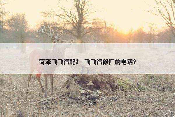菏泽飞飞汽配？ 飞飞汽修厂的电话？