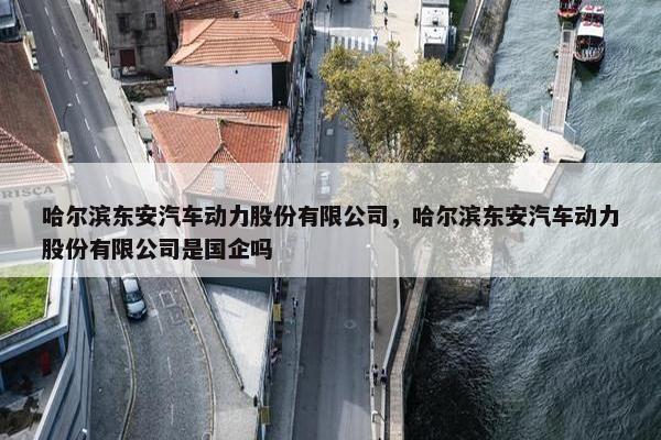 哈尔滨东安汽车动力股份有限公司，哈尔滨东安汽车动力股份有限公司是国企吗
