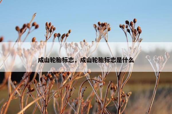 成山轮胎标志，成山轮胎标志是什么