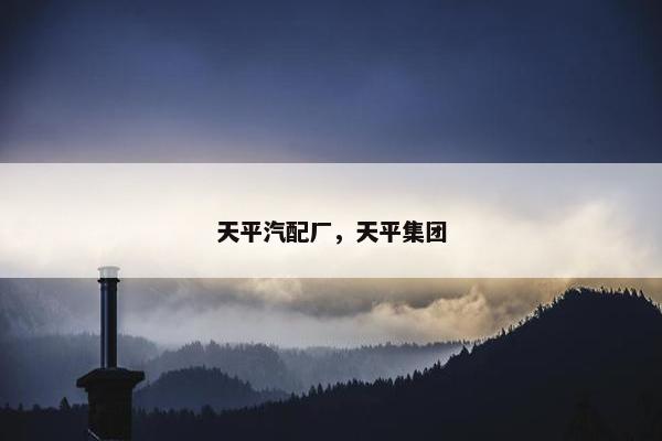 天平汽配厂，天平集团