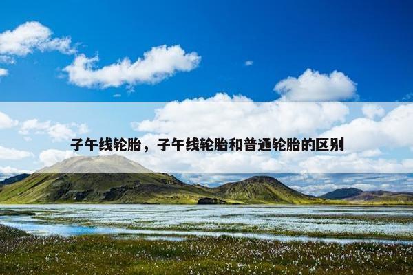 子午线轮胎，子午线轮胎和普通轮胎的区别