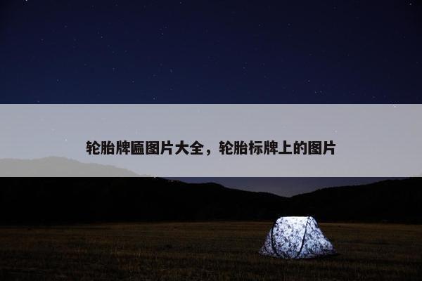 轮胎牌匾图片大全，轮胎标牌上的图片