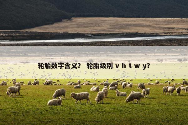 轮胎数字含义？ 轮胎级别 v h t w y？