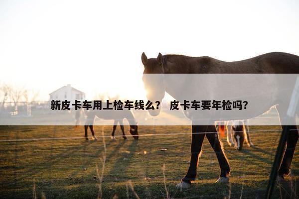 新皮卡车用上检车线么？ 皮卡车要年检吗？