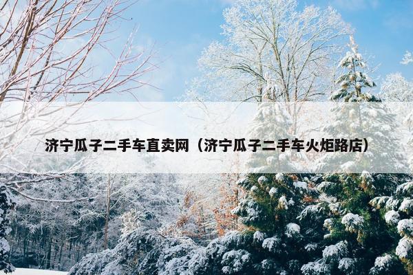 济宁瓜子二手车直卖网（济宁瓜子二手车火炬路店）