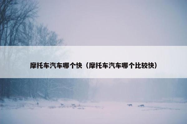 摩托车汽车哪个快（摩托车汽车哪个比较快）