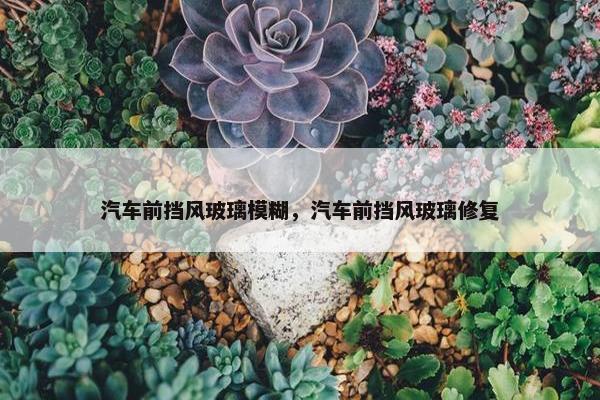 汽车前挡风玻璃模糊，汽车前挡风玻璃修复