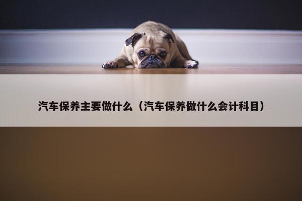 汽车保养主要做什么（汽车保养做什么会计科目）