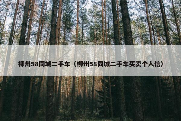 柳州58同城二手车（柳州58同城二手车买卖个人信）