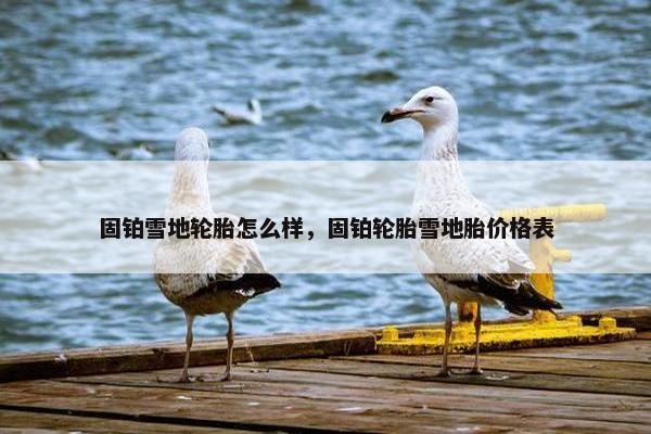 固铂雪地轮胎怎么样，固铂轮胎雪地胎价格表