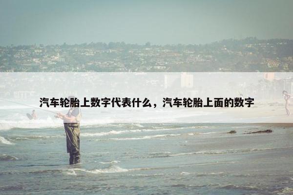 汽车轮胎上数字代表什么，汽车轮胎上面的数字