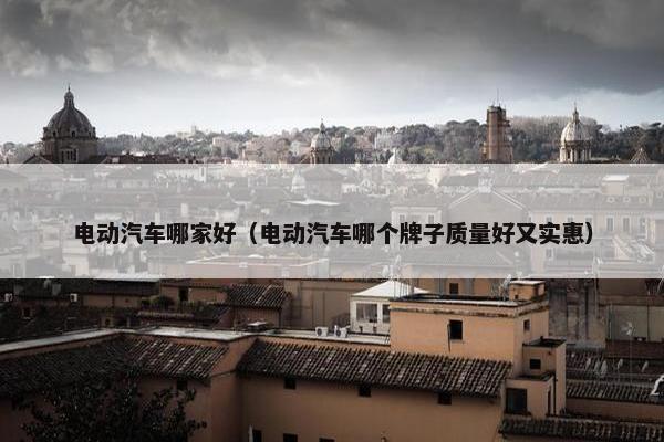 电动汽车哪家好（电动汽车哪个牌子质量好又实惠）