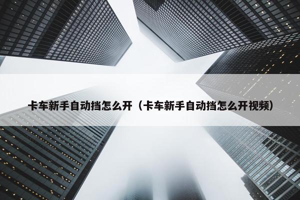 卡车新手自动挡怎么开（卡车新手自动挡怎么开视频）