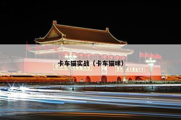卡车猫实战（卡车猫咪）
