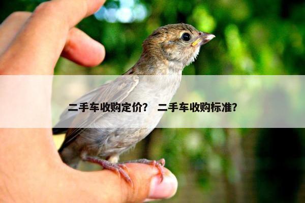 二手车收购定价？ 二手车收购标准？