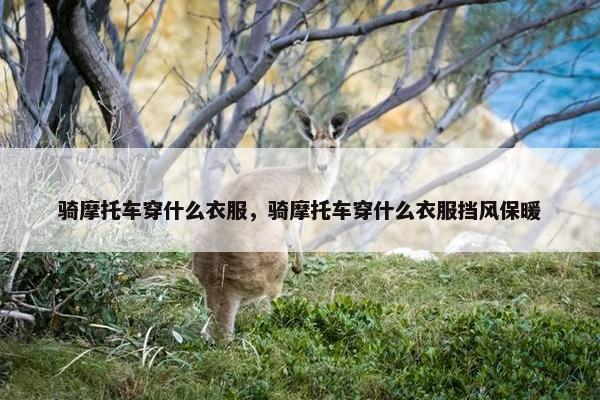 骑摩托车穿什么衣服，骑摩托车穿什么衣服挡风保暖