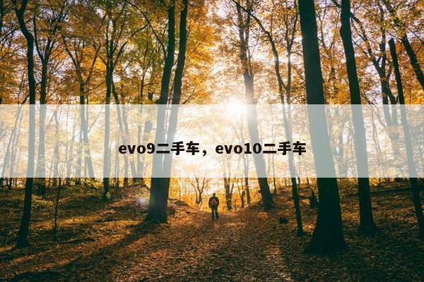 evo9二手车，evo10二手车