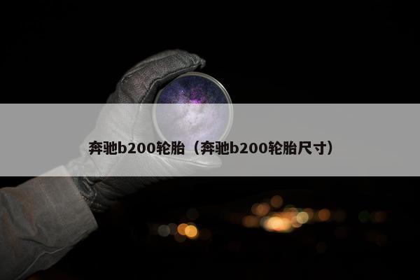 奔驰b200轮胎（奔驰b200轮胎尺寸）
