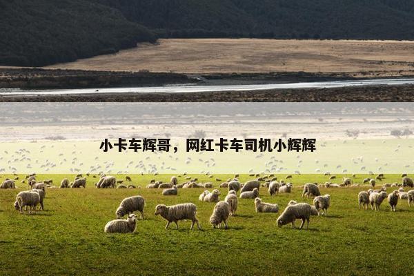 小卡车辉哥，网红卡车司机小辉辉