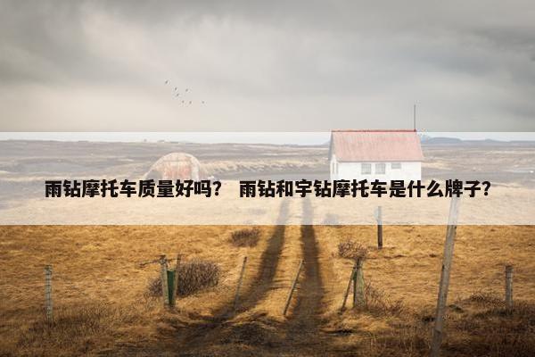 雨钻摩托车质量好吗？ 雨钻和宇钻摩托车是什么牌子？