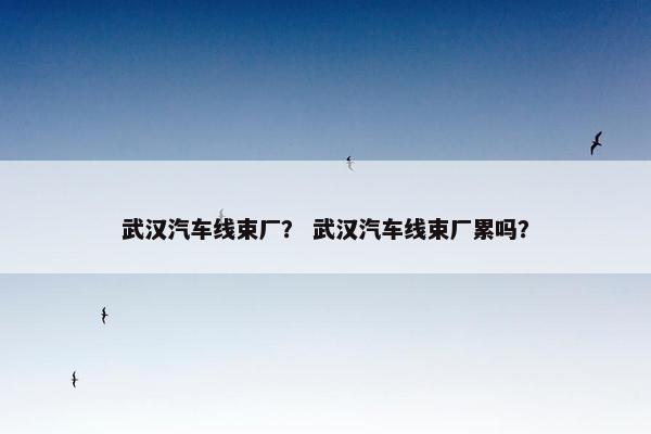 武汉汽车线束厂？ 武汉汽车线束厂累吗？