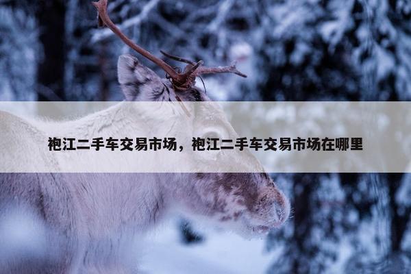袍江二手车交易市场，袍江二手车交易市场在哪里