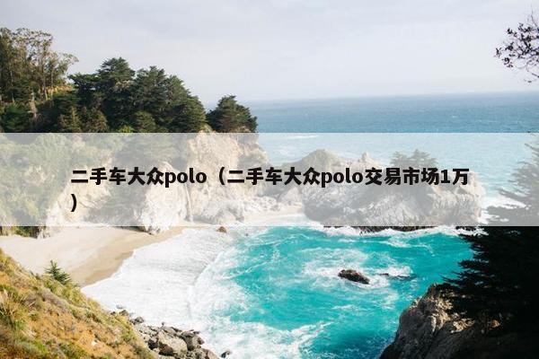 二手车大众polo（二手车大众polo交易市场1万）