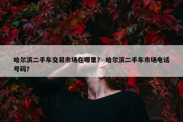 哈尔滨二手车交易市场在哪里？ 哈尔滨二手车市场电话号码？