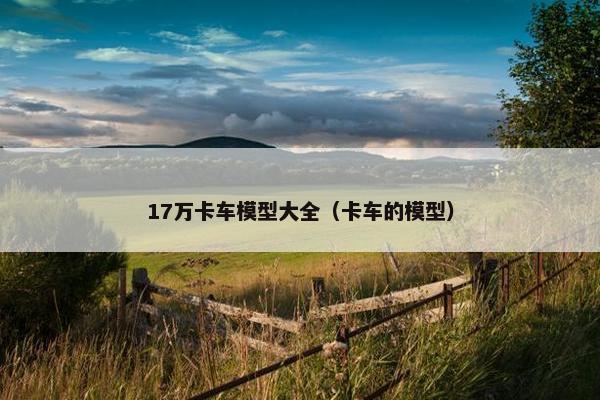 17万卡车模型大全（卡车的模型）