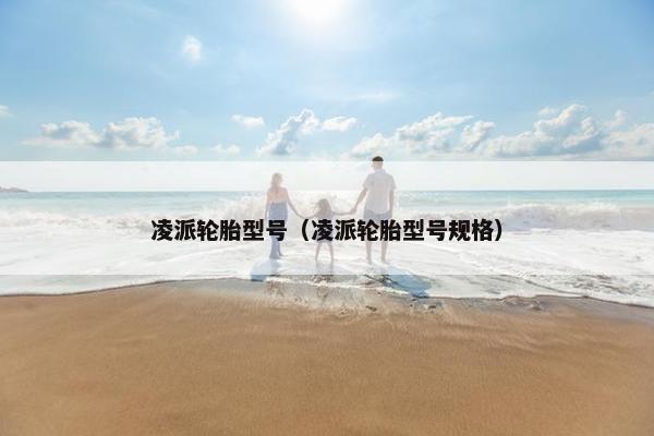 凌派轮胎型号（凌派轮胎型号规格）