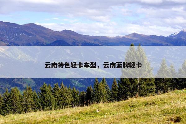 云南特色轻卡车型，云南蓝牌轻卡