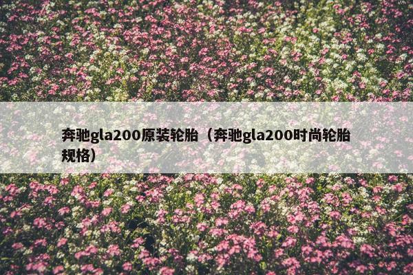 奔驰gla200原装轮胎（奔驰gla200时尚轮胎规格）