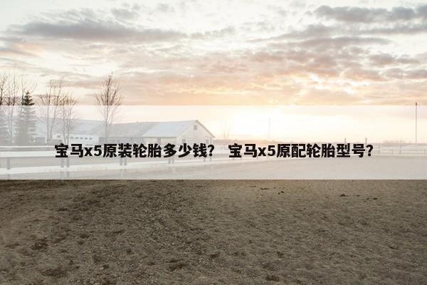 宝马x5原装轮胎多少钱？ 宝马x5原配轮胎型号？
