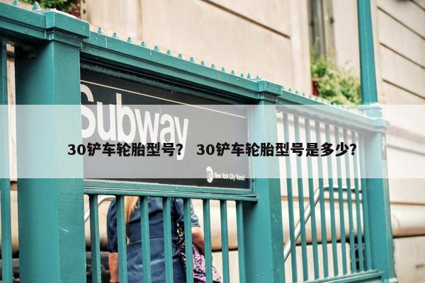 30铲车轮胎型号？ 30铲车轮胎型号是多少？