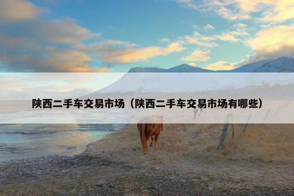 陕西二手车交易市场（陕西二手车交易市场有哪些）