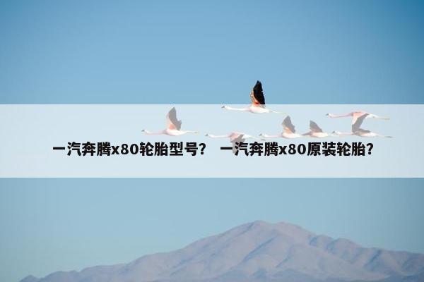 一汽奔腾x80轮胎型号？ 一汽奔腾x80原装轮胎？