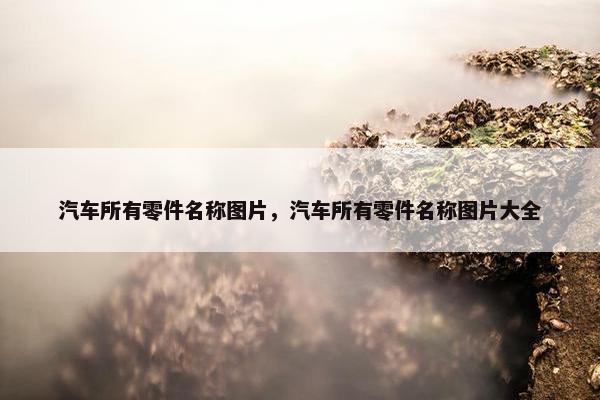 汽车所有零件名称图片，汽车所有零件名称图片大全