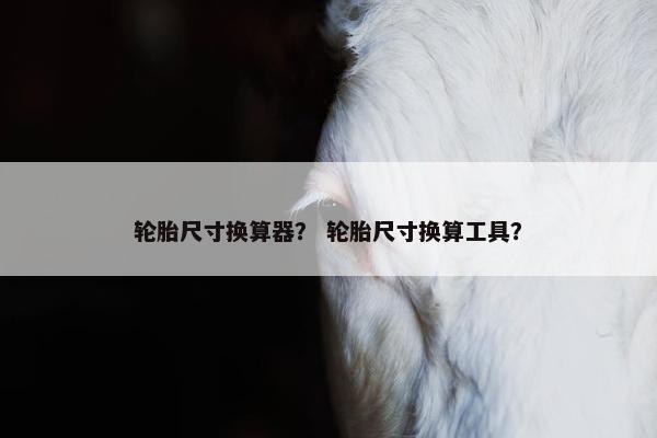 轮胎尺寸换算器？ 轮胎尺寸换算工具？