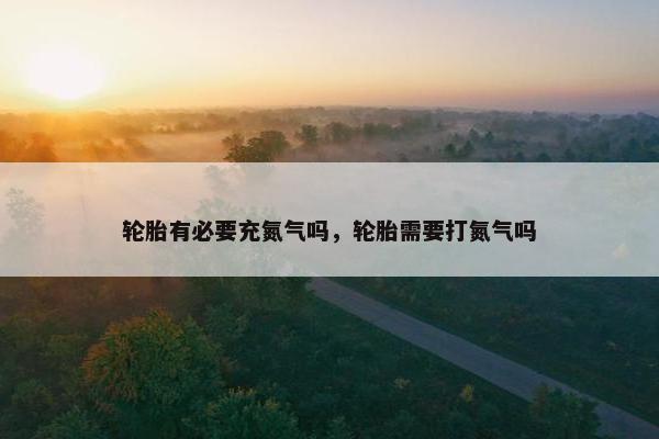 轮胎有必要充氮气吗，轮胎需要打氮气吗