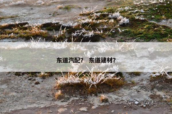 东道汽配？ 东道建材？