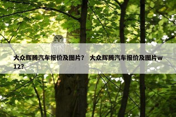 大众辉腾汽车报价及图片？ 大众辉腾汽车报价及图片w12？
