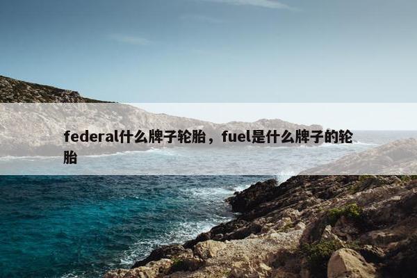 federal什么牌子轮胎，fuel是什么牌子的轮胎