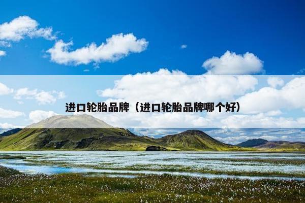 进口轮胎品牌（进口轮胎品牌哪个好）