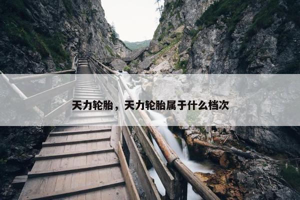 天力轮胎，天力轮胎属于什么档次
